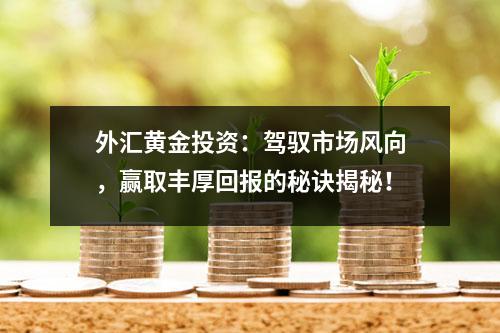 外汇黄金投资：驾驭市场风向，赢取丰厚回报的秘诀揭秘！