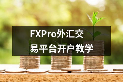 FXPro外汇交易平台开户教学