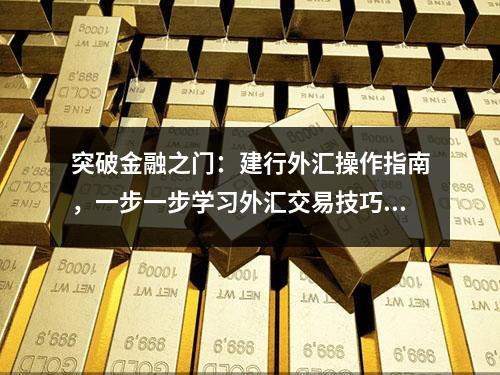 突破金融之门：建行外汇操作指南，一步一步学习外汇交易技巧！